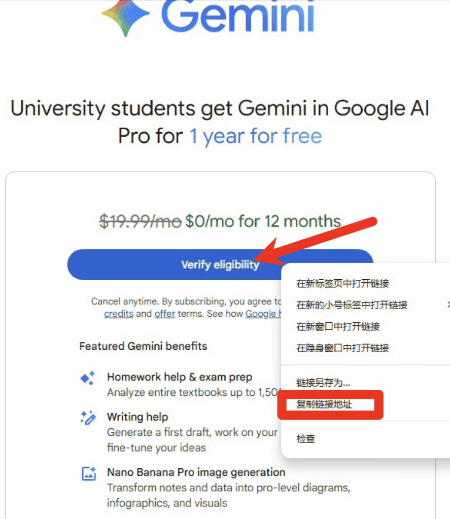图片[3]-Google AI Pro | Gemini 一键100%通过教程-星小芽